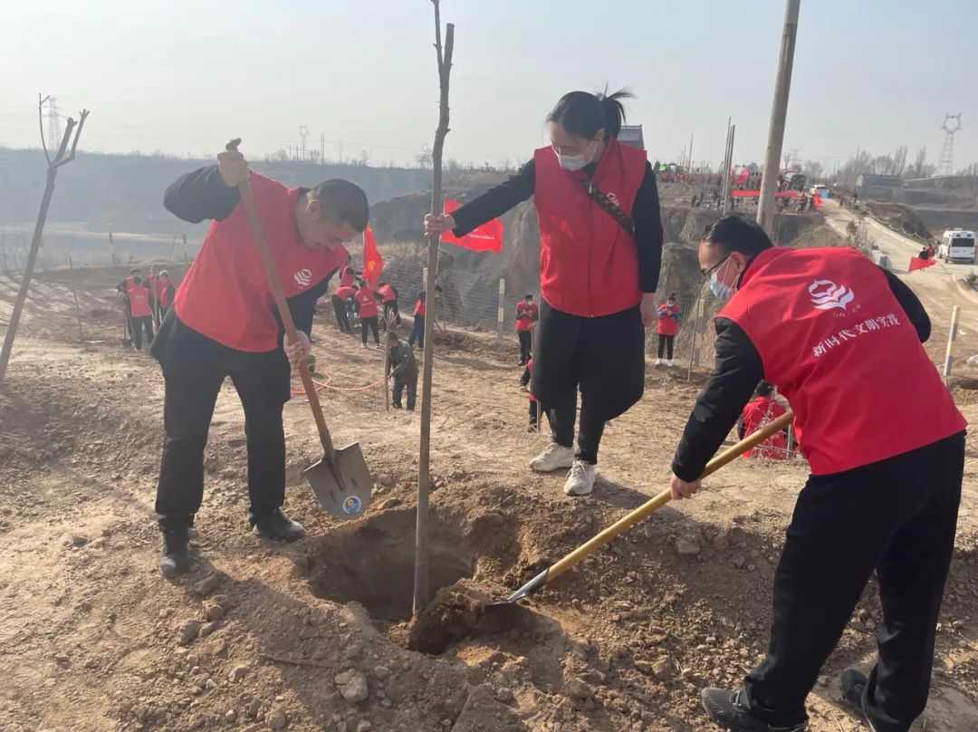河津市委政法委积极开展义务植树活动