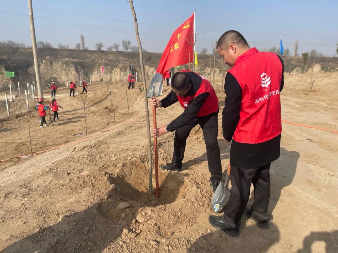 河津市委政法委积极开展义务植树活动