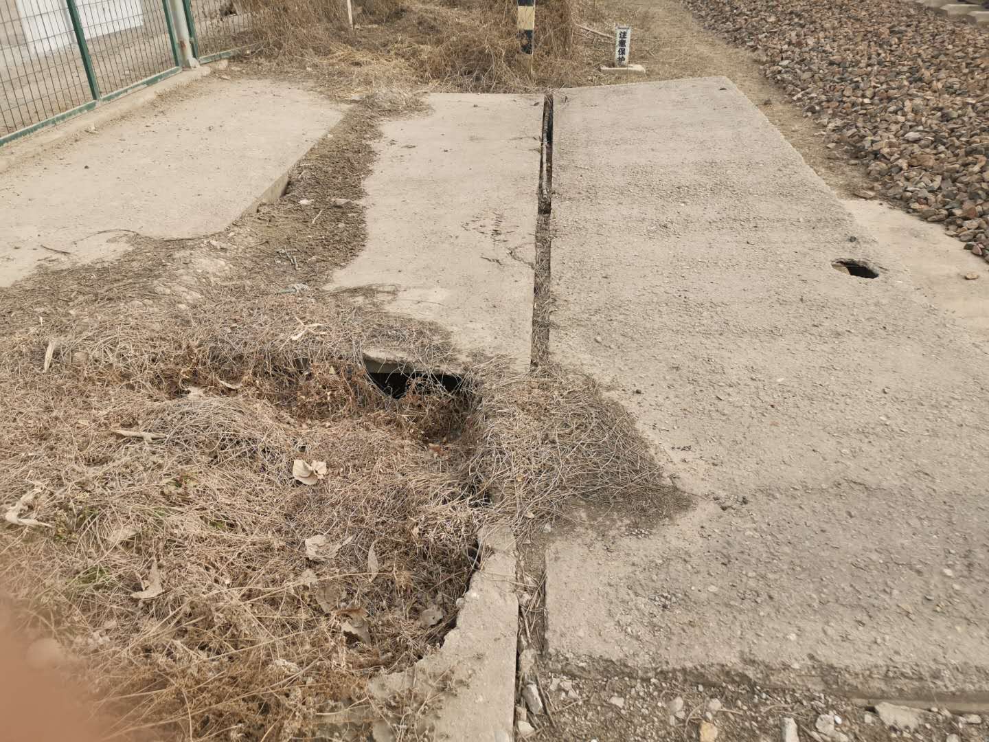 1584667913110795.jpg