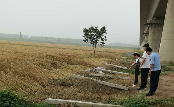 1591839272173546.png 图片1.png