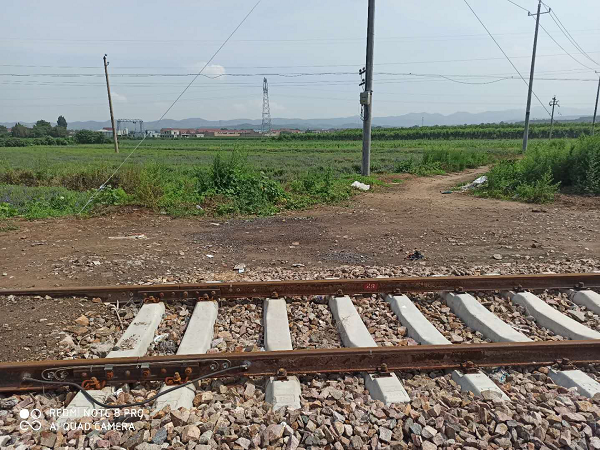1594777768280668.png 图片1.png