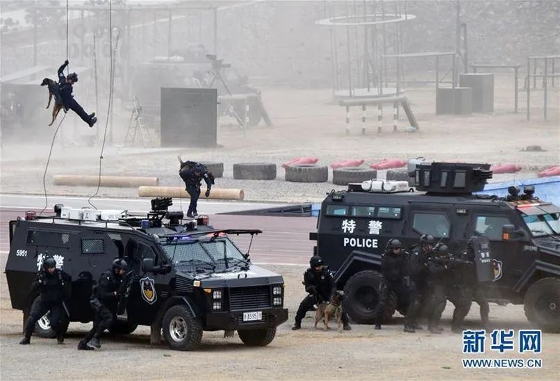 图片 图片