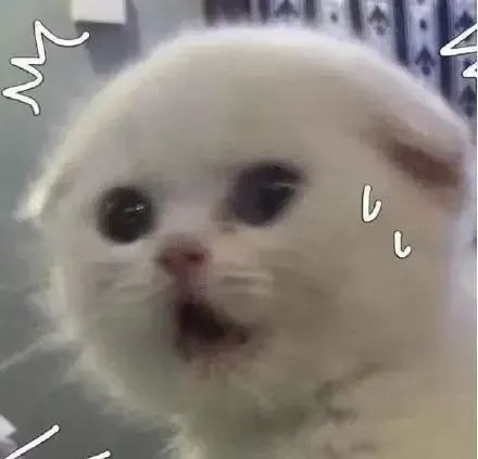 1658199266157208.jpg 微信图片_20220719105239.jpg