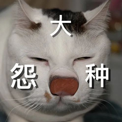 1661310391168550.jpg 9.jpg