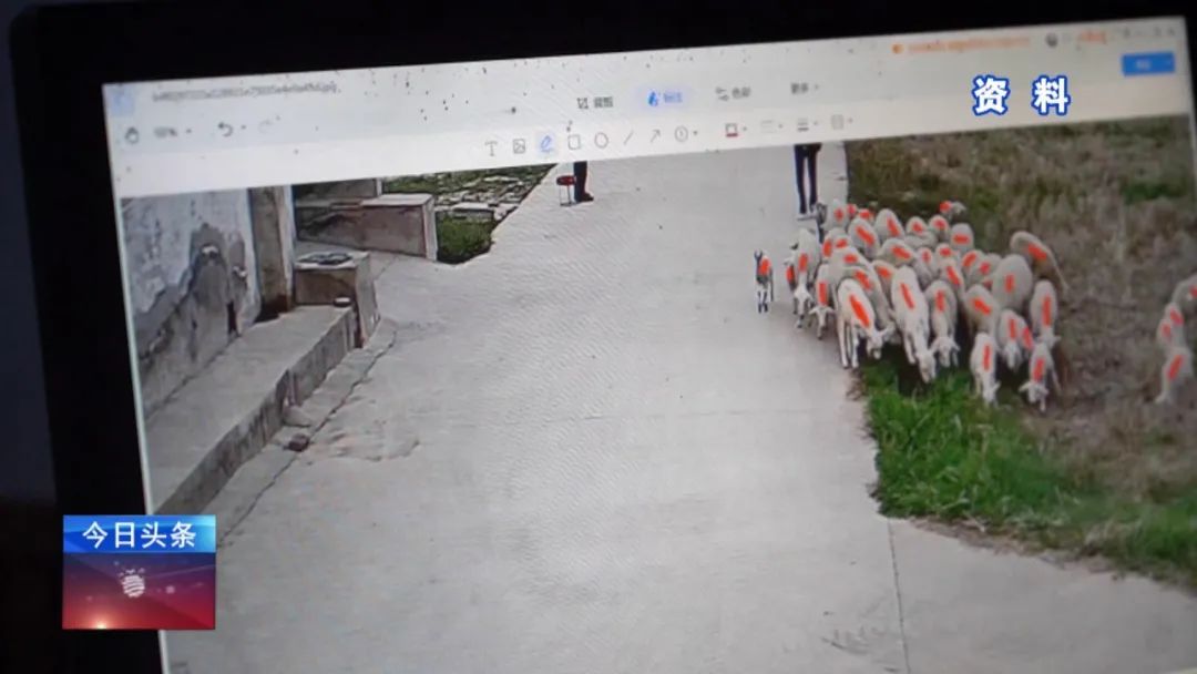 1704252185634827.jpg 1704252185634827.jpg