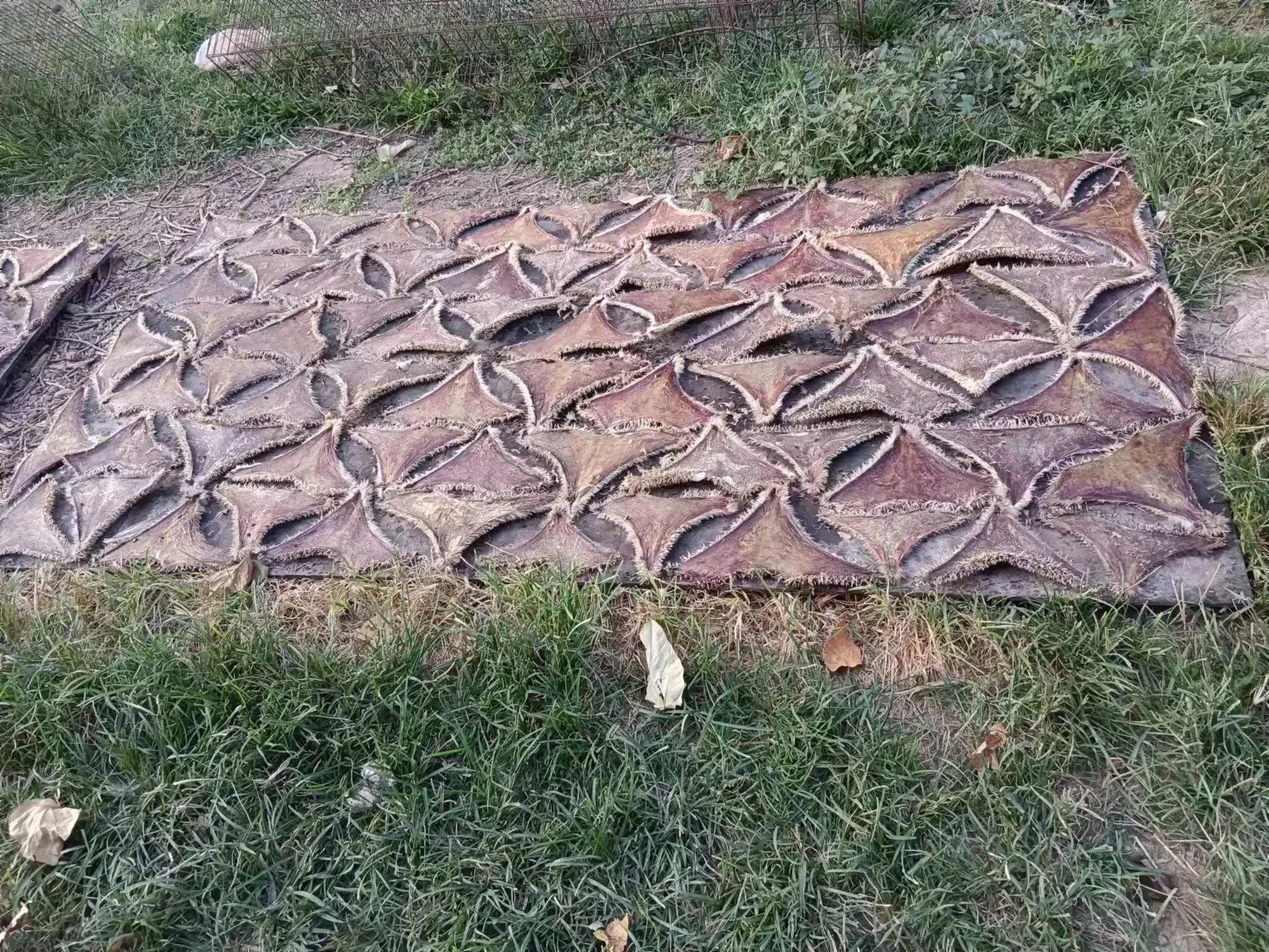 1713409371424570.jpg 1713409371424570.jpg