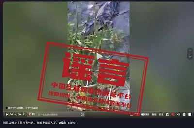 微信图片_20250106091756.jpg
