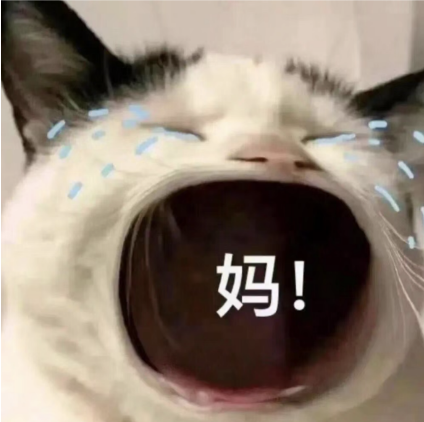 1752114571953361.png 1752114571953361.png
