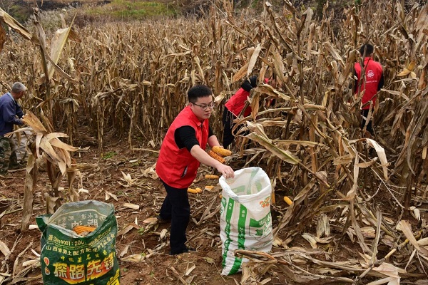 1761875073281135.jpg 1761875073281135.jpg