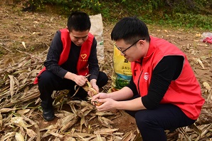 1761875108426485.jpg 1761875108426485.jpg