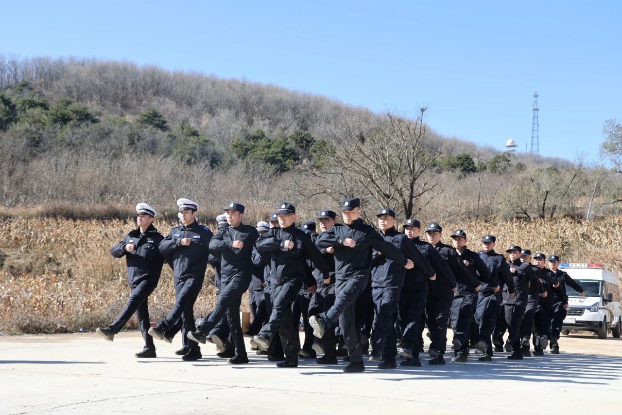 1764037372502169.jpg 1764037372502169.jpg