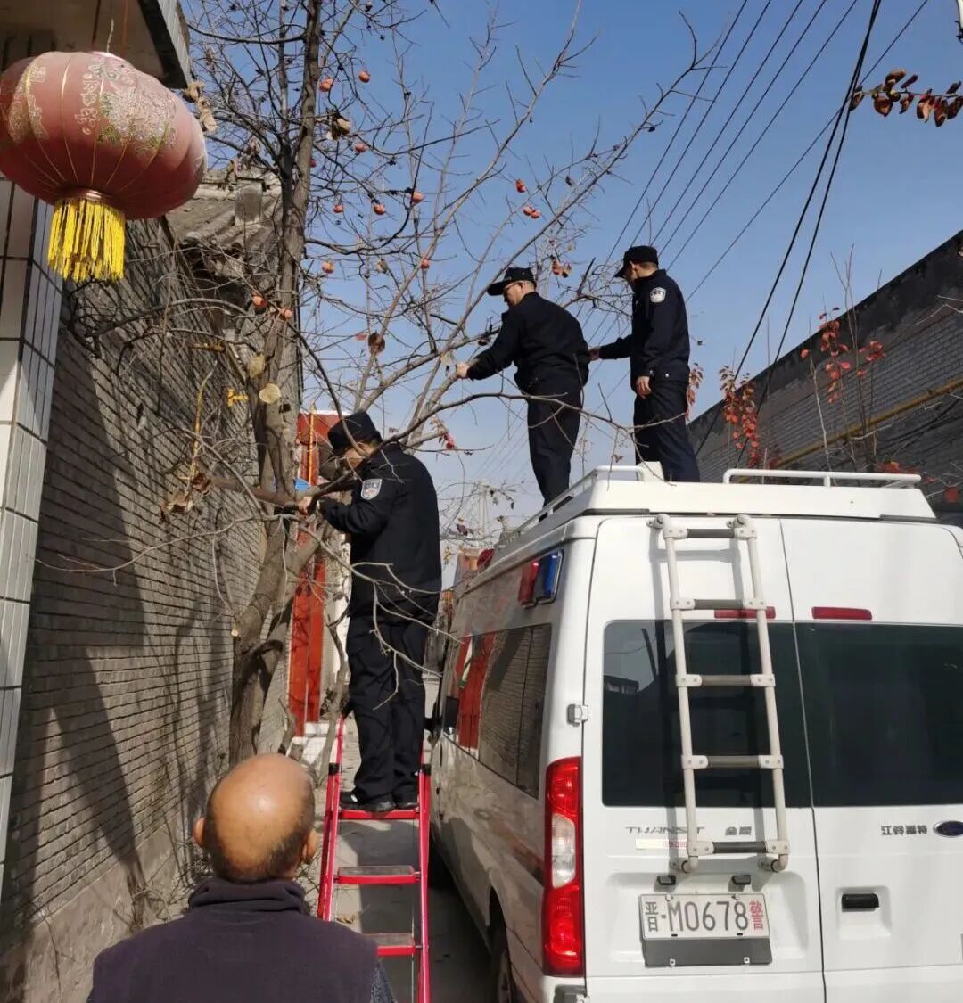 1764122442828227.jpg 1764122442828227.jpg