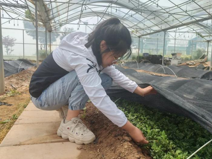 1765505178109337.png 1765505178109337.png