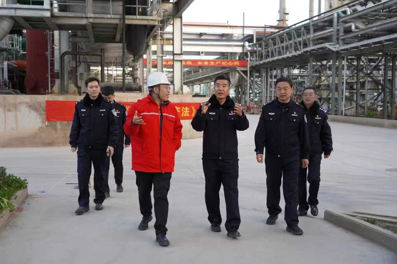 1765506717559447.jpg 1765506717559447.jpg