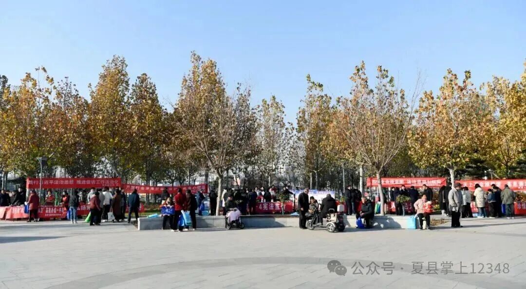 1765507143221431.jpg 1765507143221431.jpg