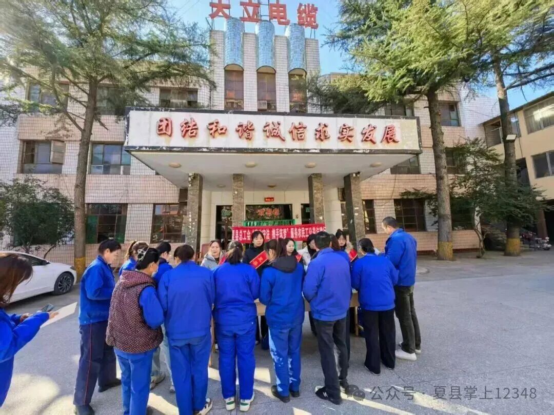 1765507188599874.jpg 1765507188599874.jpg