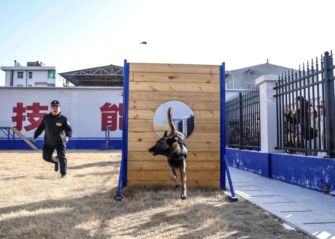 1767839216115840.jpg 1767839216115840.jpg