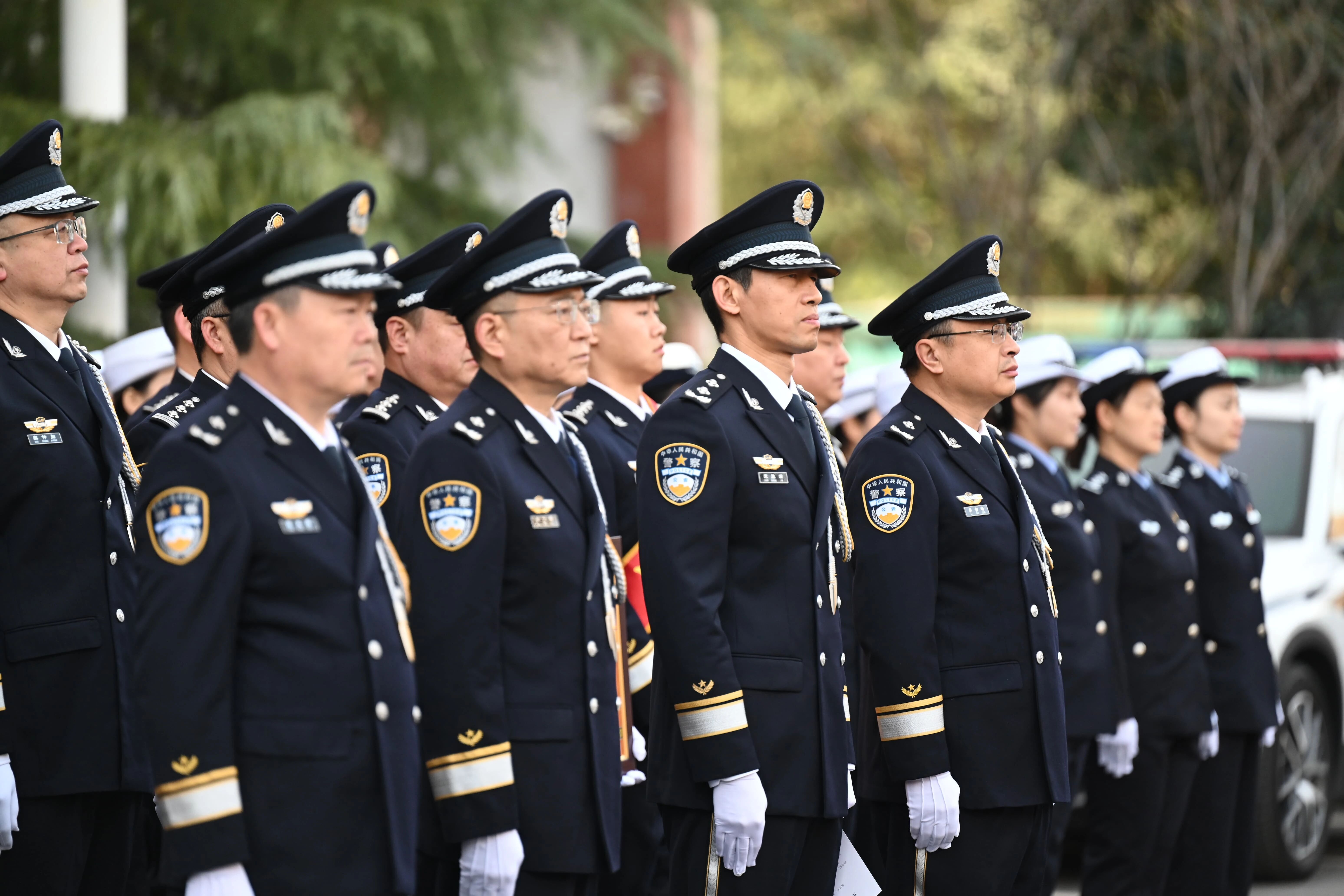 1768184788909377.jpg 1768184788909377.jpg