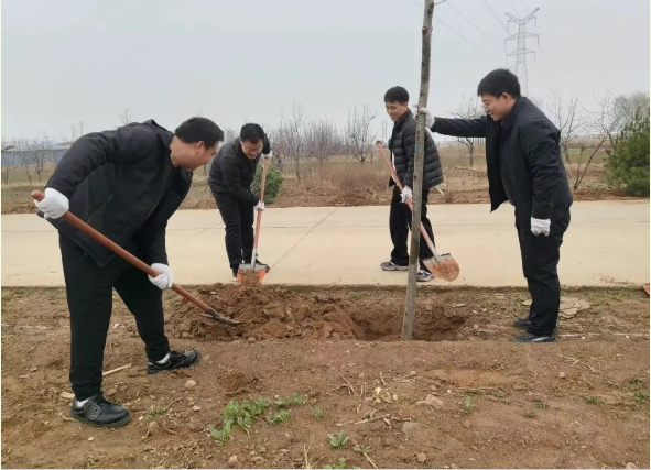 1772417739223169.png 1772417739223169.png