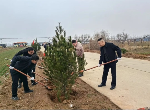 1772417739742594.png 1772417739742594.png