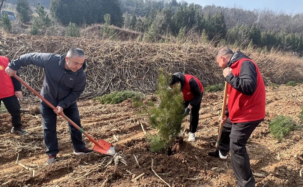 1773628173553949.jpg 1773628173553949.jpg