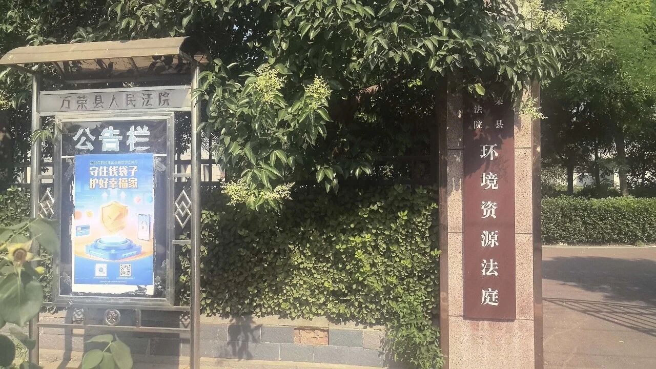 1781663195408987.jpg 1781663195408987.jpg