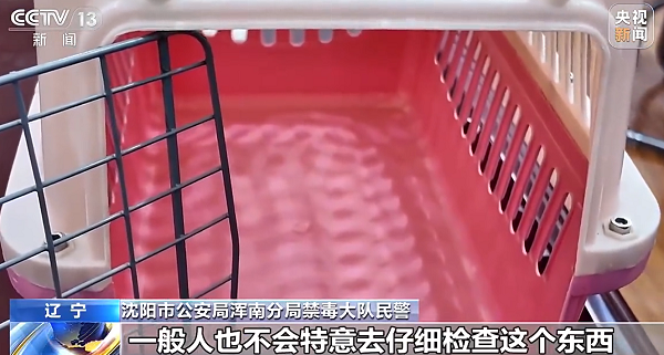 微信图片_20260626085100.png