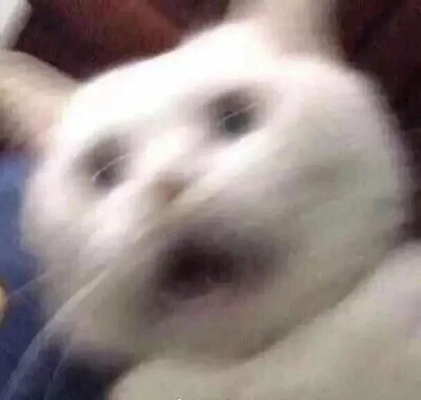 1782437951942918.jpg