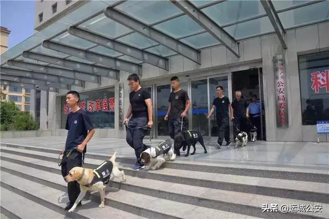 【践行新使命 忠诚保大庆】全市民爆物品枪支弹药集中排查搜爆行动开始了