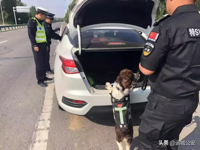 【践行新使命 忠诚保大庆】爆照!运城公安国庆节的N个瞬间
