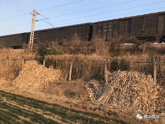 稷山:疫情防控不放松,铁路沿线易燃物严管控