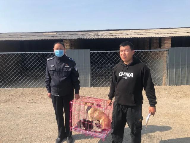 运开公安分局积极开展流浪犬专项整治行动