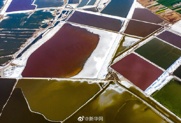 山西运城：春日盐湖美如画