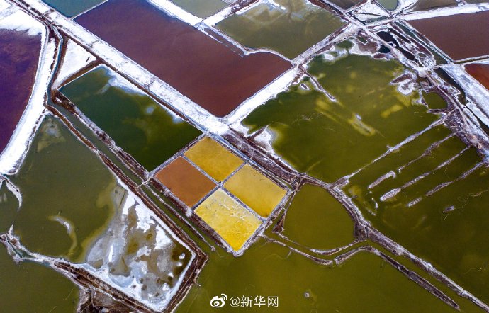山西运城：春日盐湖美如画