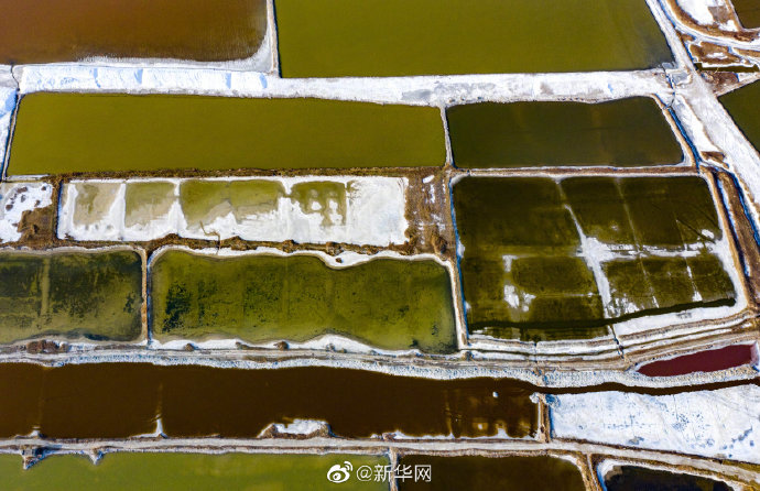 山西运城：春日盐湖美如画