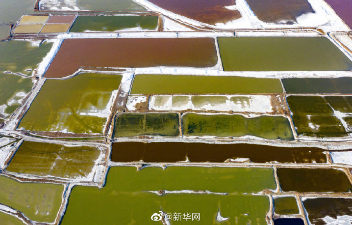 山西运城：春日盐湖美如画
