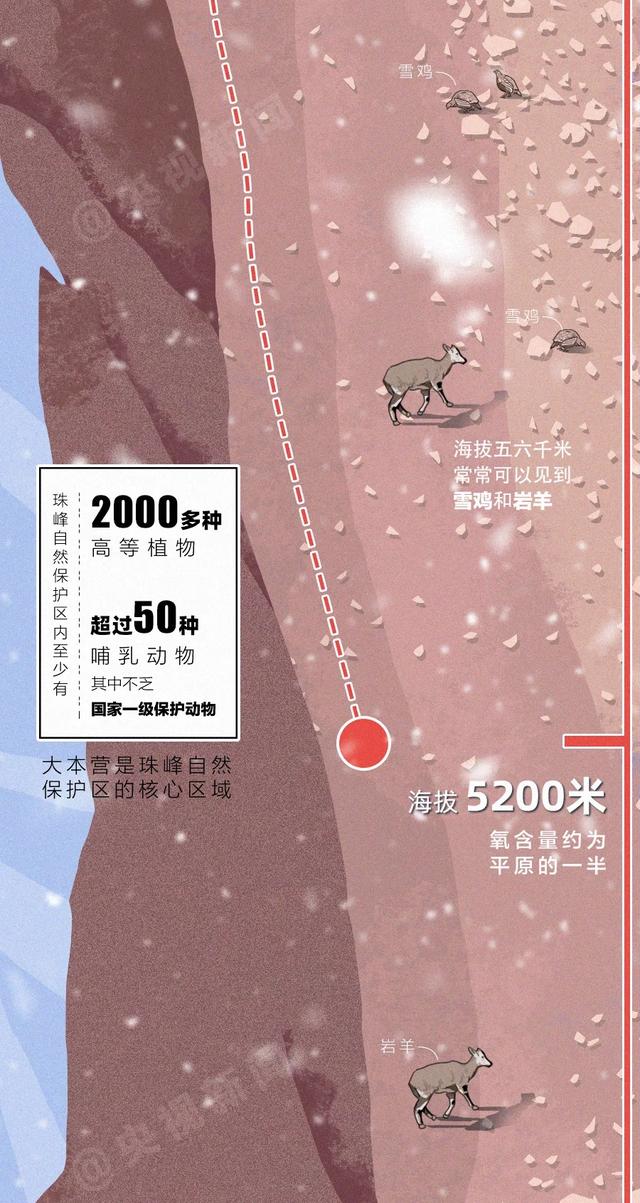 燃燃燃燃燃!一张长图带你攀登“地球之巅”