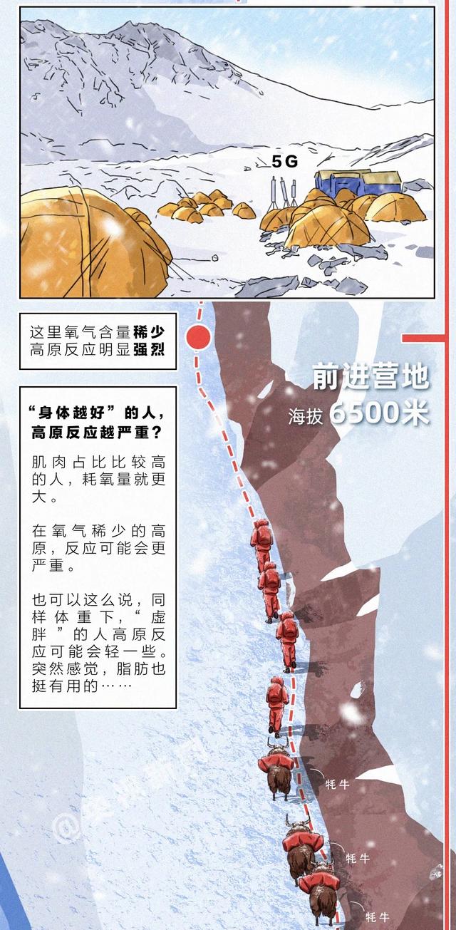 燃燃燃燃燃!一张长图带你攀登“地球之巅”