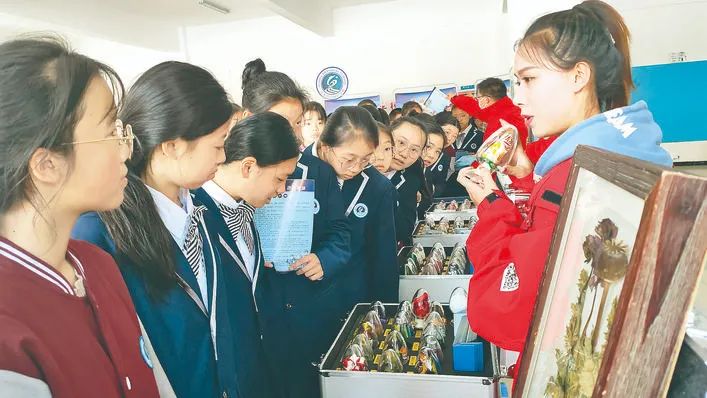 图片 图片