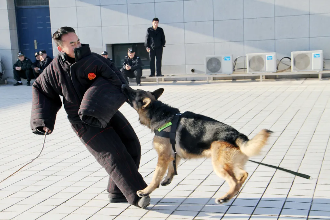 青春不负韶华 警梦不改荣光！