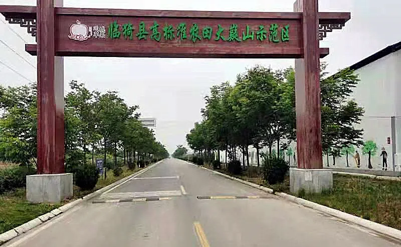 【我为群众办实事】增设减速警示标志 预防农村道路事故 【我为群众办实事】增设减速警示标志 预防农村道路事故