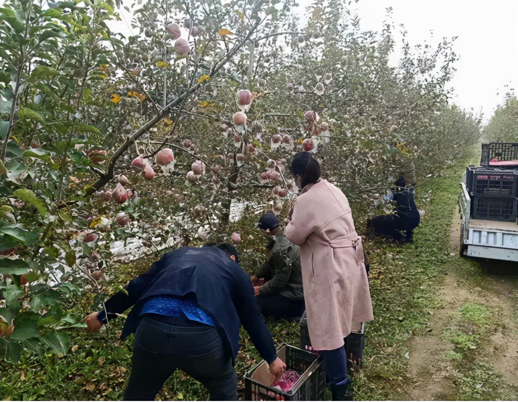 万荣皇甫司法所开展“感恩社会志愿服务”公益劳动 万荣皇甫司法所开展“感恩社会志愿服务”公益劳动