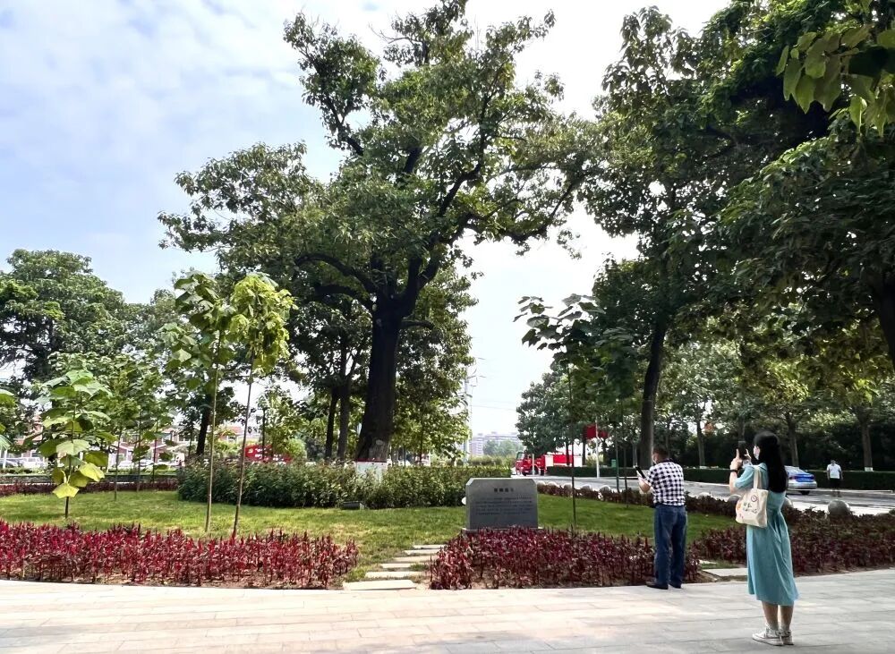 图片 图片